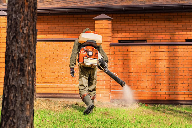 Trusted Rodent Control service in Sunland Park, NM - Nex Pest Control